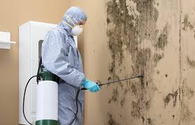 Best Industrial Mold Remediation in Gresham, OR